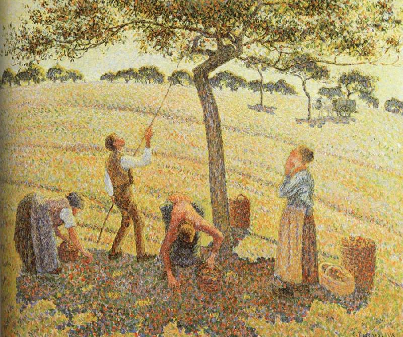 Camille Pissarro Pick  Apples oil painting image